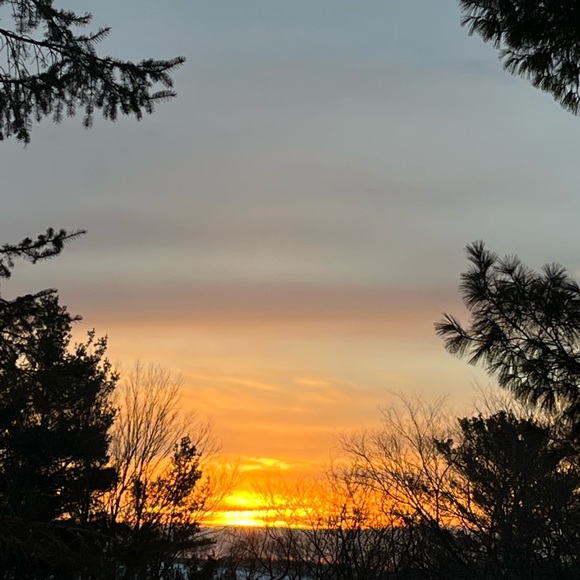 Meet your Posher, Trisha - Picture 4 of 15